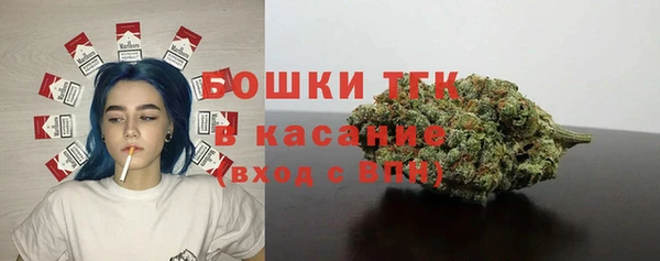 дмт Инсар