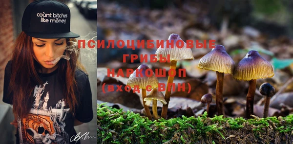 MDMA Зеленокумск