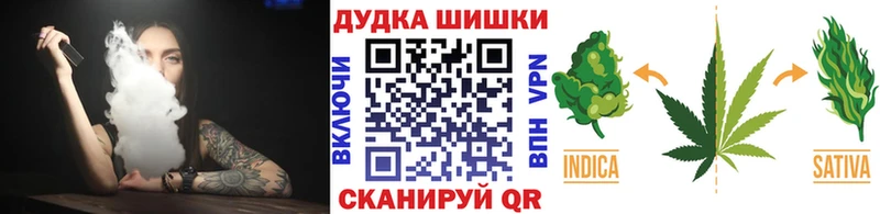 Бошки Шишки план  Купить закладки  Жирновск 